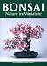 A Batch of Beautiful Bonsai Books