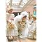Guide to THE perfect wedding