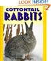 Cottontail Rabbits (Pull Ahead Books)