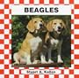 Beagles (Checkerboard Animal Library: Dogs)