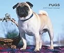 Pugs 2007 Calendar