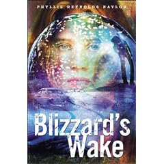 Blizzard's Wake