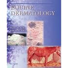 Equine Dermatology by Danny W. Scott and William H. Miller
