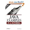 Java Examples in a Nutshell (In a Nutshell (O'Reilly))