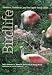 Birdlife of Houston...