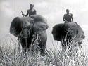 1936 African Safaris Travel Film DVD: History of Africa & Great Safari Footage