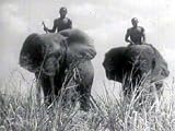 1936 African Safaris Travel Film DVD: History of Africa & Great Safari Footage