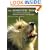 The Domestic Dog: Its Evolution, Behaviour and Interactions with People
