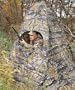 Teepee Pop-Up Blind Skyline Excel� Camo