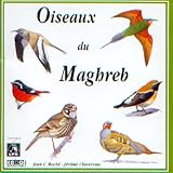 Music : Sounds of Nature: Birds of North-West Africa