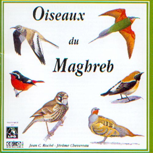CD-Charts  Music : Sounds of Nature: Birds of North-West Africa