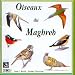 Sounds of Nature: Birds of North-West Africa