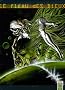Le Fl�au des Dieux, Tome 6 : Exit