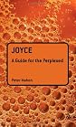 Joyce : a guide for the perplexed