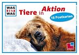 Tiere in Aktion - WAS IST WAS Postkartenbuch: 16 Tiermotive - Diverse