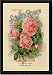 Framed Art Poster 20x30, Scott's Roses and Other Beautiful Flowers