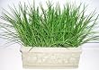 13" Plastic Grass Arrangement
