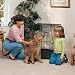 Midwest Life Stages Single-Door Folding Metal Dog Crate, 36 Inches by 24 Inches by 27 Inches