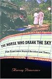 The Horse Who Drank the Sky: Film Experience Beyond Narrative and Theory