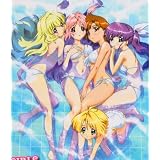 Girls Bravo : Erotic Animation - 16 Episode Collection - 4 DVD SET ~ Erotic