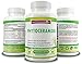 Vegetarian Phytoceramides - Clinically Proven All Natural + Vitamins A C D E -Boost Collagen, Reduce Lines & Wrinkles, Repair Sun Damage- Get Youthful Skin That All Will Notice! Works for Women & Men