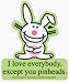 Happy Bunny - I Love Everybody Except You Pinheads - Sticker / Decal