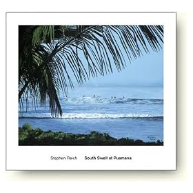 �X�e�t�@�� ���C�q South Swell at Puamana �A�[�g�|�X�^�[