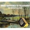 What Happened to Television?