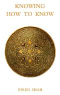 Knowing How to Know : A Practical Philosophy in the Sufi Tradition