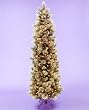 7.5' Slim Carolina Pine Pre-Lit Artificial Christmas Tree - Clear Lights