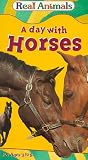 VHS : A Day with Horses