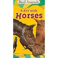 Buy A Day with Horses [VHS]
