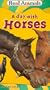 A Day with Horses [VHS]