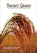 Ancient Grains: My Favorite Comfort Foods Without Wheat