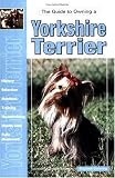 Guide to Owning a Yorkshire Terrier (Re Dog)