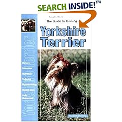 Guide to Owning a Yorkshire Terrier