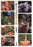 花とハーブの鉢植え日和