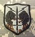 NA Aerospace Defense Command (NORAD) ACU Patch Foliage Green