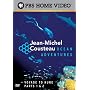 Jean Michel Cousteau's Ocean Adventures