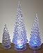 BANBERRY DESIGNS Table Top Christmas Trees - Set of 12 - LED Lighted Acrylic Christmas Trees Holiday Decoration Set of 12 Assorted Sizes 10