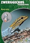 Zwerggeckos: Lygodactylus