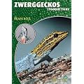 Zwerggeckos: Lygodactylus