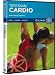 Total Body Cardio Toning