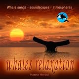 Right Whale relaxation - Eubalaena spec - Glattwal