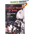 The Cultural World of Jesus: Sunday by Sunday, Cycle B (Bestseller! the Cultural World of Jesus: Sunday by Sunday) by John J. Pilch