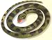 Rubber Anaconda Snake - 75cm