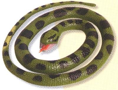 Childrens Toyshop  Toys : Large Anaconda