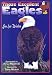 Those Excellent Eagles