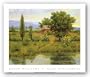 Wild Sunflowers by Roger Williams 28"x22" Art Print Poster