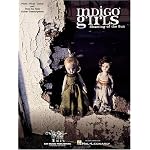 Indigo Girls - Shaming of the Sun book cover